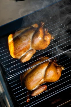 Bradley Original Smoker 4-Rack / Elektro Räucherofen -Grill Verkaufs-Shop 13236 Bradley Smoker Gefluegel