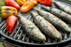 CADAC Camping Gasgrill Grillo Chef 40 / BBQ + Chef Pan + Dome - 50mbar -Grill Verkaufs-Shop CADAC Gasgrill Grillo Chef 40 Grillrost 3