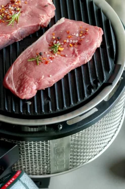 Cobb Grill Premier Gas Deluxe 2.0 - Gasgrill - Kartuschenanschluss - Modell 2023 -Grill Verkaufs-Shop Cobb Grasgrill Premier Deluxe 2 Griddle Grillplatte