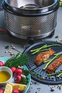 Cobb Grill Premier+ Gas Deluxe Gasgrill 30mbar - Modell 2023 -Grill Verkaufs-Shop Cobb Grill Premier Plus Gas Deluxe Griddle