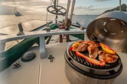 Cobb Grill Supreme Deluxe 2.0 Holzkohlegrill - Modell 2023 -Grill Verkaufs-Shop Cobb Grill Supreme Deluxe 2 0 600 1 Griddle