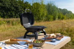 Napoleon TravelQ 240 Kompakt Gasgrill Schwarz- Modell 2023 -Grill Verkaufs-Shop Napoleon TravelQ TQ240 Kompaktgrill