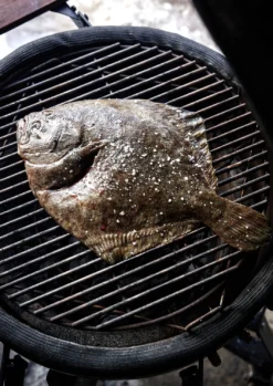 The Bastard Keramikgrill Urban Medium - Complete - Schwarz Matt - Modell 2023 -Grill Verkaufs-Shop The Bastard Medium Keramikgrill Grillflaeche