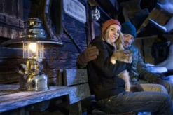 Petromax Petroleumlampe HK500/829 Chrom -Grill Verkaufs-Shop petromax starklichtlampe hk500 px5c 15