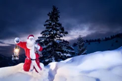 Petromax Petroleumlampe HK500/829 Chrom -Grill Verkaufs-Shop petromax starklichtlampe hk500 px5c 20